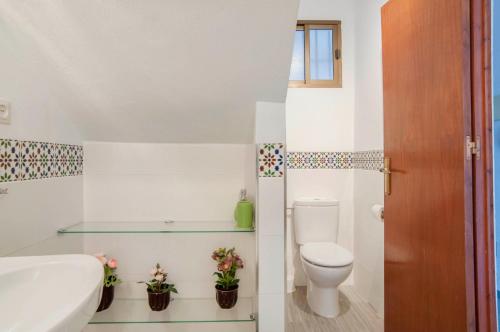 米哈斯Apartment Vista de Pájaro的一间带卫生间和水槽的小浴室