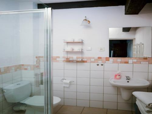 SobkówZamek Rycerski的带淋浴、卫生间和盥洗盆的浴室