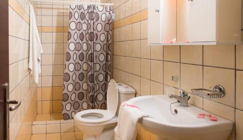 阿利卡纳斯普利左思别墅公寓的一间带水槽、卫生间和淋浴的浴室