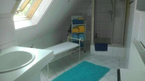 魏玛Ferienwohnung Marion Franke的一间带水槽和淋浴的小浴室