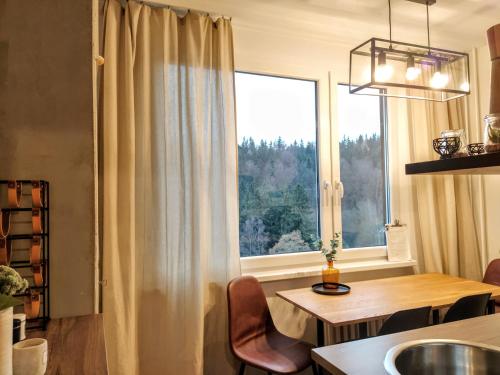 扬斯凯拉兹涅Stylový apartmán přímo u lanovky, vlastní garážové stání的一间带桌子和窗户的用餐室