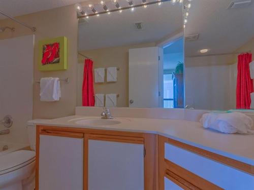 奥兰治比奇Bluewater Apartments III的一间带水槽、卫生间和镜子的浴室