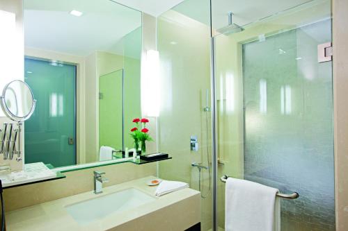 加济阿巴德萨希巴巴德丽怡酒店及套房的一间带水槽和玻璃淋浴的浴室