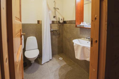 都皮沃古尔未来酒店的一间带卫生间和水槽的小浴室
