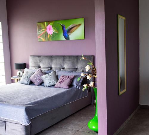 博卡奇卡Finca Colibri的一间卧室配有一张紫色墙壁的床