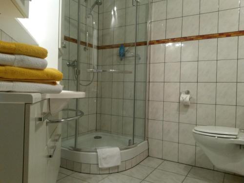 泰克伦堡Appartementanlage Tecklenburger Altstadt的带淋浴和卫生间的浴室