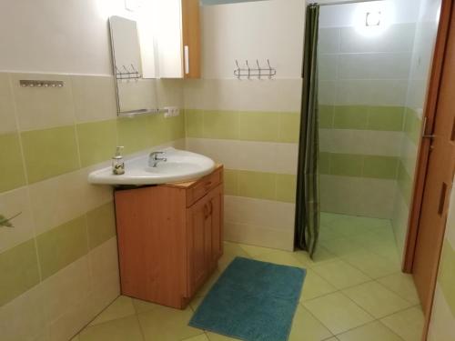 亚希莫夫Apartmán Albreit的一间带水槽和淋浴的浴室