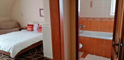特伦钦马格诺利娅膳食公寓酒店的一间卧室配有一张床和浴缸