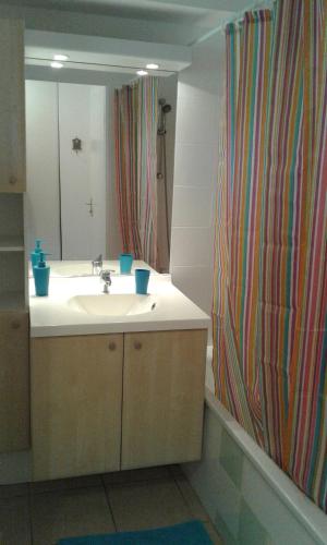 翁德尔T2 Turquoise Ondres plage avec piscine et tennis的一间带水槽和淋浴帘的浴室