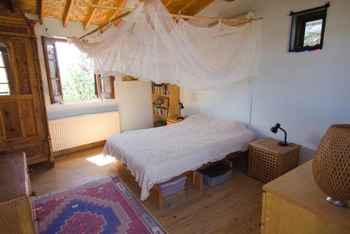 尼科西亚Avli-the courtyard的铺有木地板的客房内设有一间卧室和一张床。
