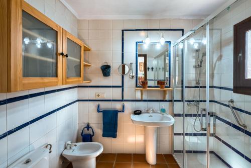 弗里希利亚纳Villa Cortijo del Peñón的一间带水槽、淋浴和卫生间的浴室