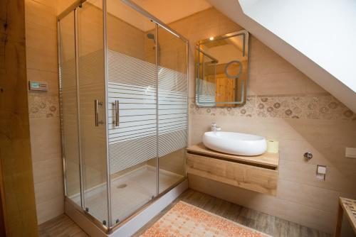 奥托亚克Vineyard cottage Škatlar 3的带淋浴和盥洗盆的浴室