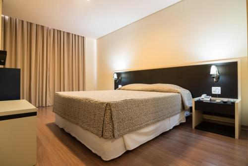 贝洛奥里藏特金融酒店的一间卧室配有一张大床和电视