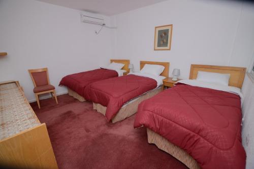 瓦迪穆萨Petra Lion Hotel的宿舍间的三张床,上面有红色的盖子