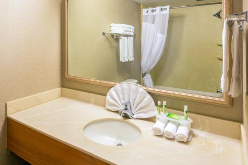 罗斯堡罗斯堡快捷假日酒店的一间带水槽和镜子的浴室