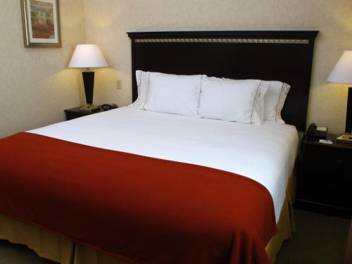 米德瓦尔盐湖城南米德瓦尔智选假日酒店的一张大床,位于酒店带两盏灯的房间