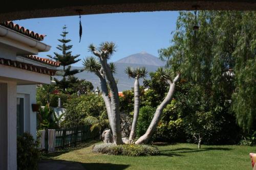 圣乌尔苏拉Villa Dragos的一座带房子的院子中的棕榈树