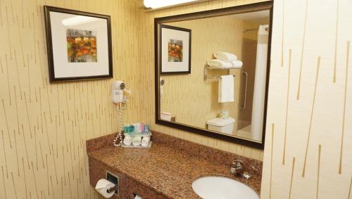 New Milford吉布森智选假日酒店 的一间带水槽和镜子的浴室