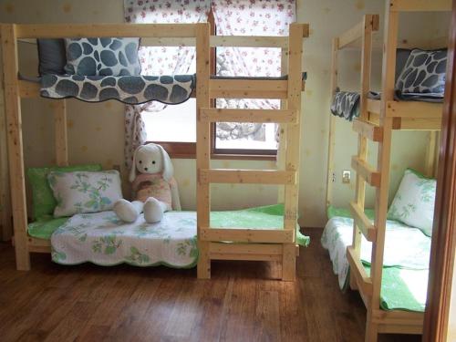 济州市Africa Guesthouse的一间卧室设有两张双层床,床上配有泰迪熊