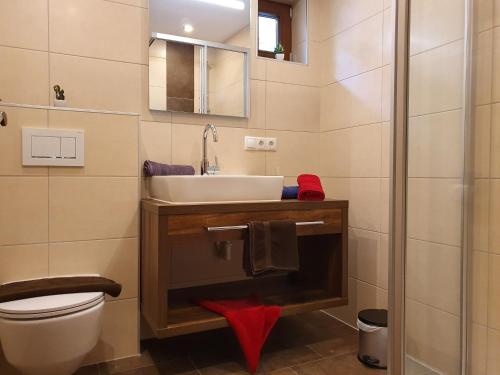 胡本Appartements Karlinger的一间带水槽和卫生间的浴室