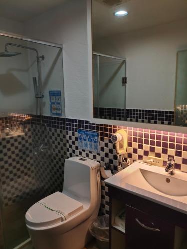 杨梅君洋城堡旅馆的一间带卫生间和水槽的浴室