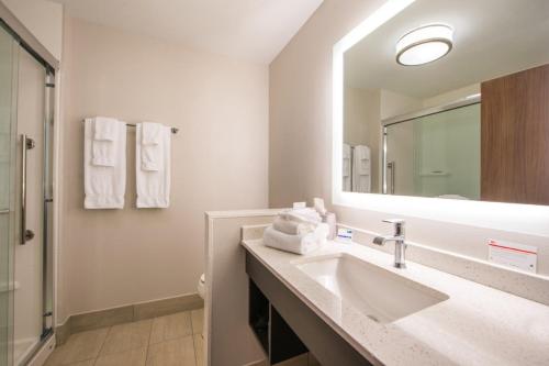 卫斯理堂Holiday Inn Express & Suites - Tampa North - Wesley Chapel, an IHG Hotel的一间带水槽和镜子的浴室