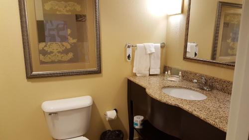 昆西昆西假日酒店的一间带卫生间、水槽和镜子的浴室