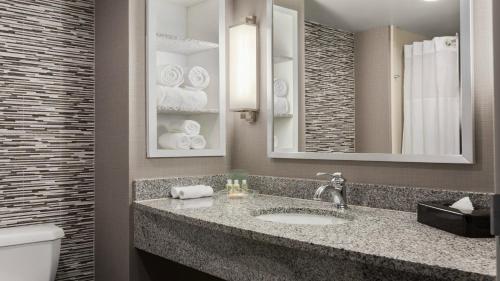威廉斯堡盖特威假日酒店&度假村的一间带水槽、卫生间和镜子的浴室