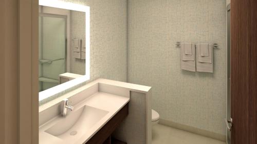 奥拉西Holiday Inn Express & Suites - Olathe South, an IHG Hotel的一间带水槽、卫生间和镜子的浴室