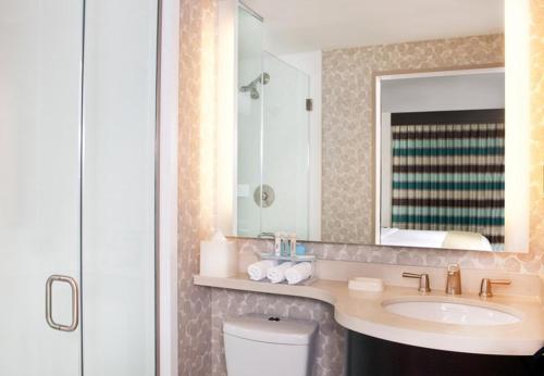 纽约时代广场南智选假日酒店的一间带水槽、镜子和卫生间的浴室