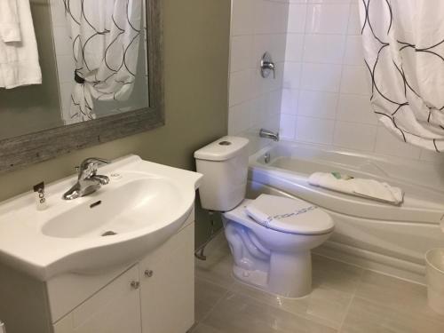 普林斯顿Ace Motel的浴室配有盥洗盆、卫生间和浴缸。