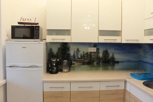 奥巴曹洛克Tisza Villa的厨房配有白色冰箱,墙上挂有绘画作品