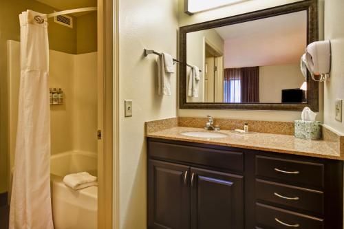 米德尔顿Staybridge Suites Middleton/Madison-West, an IHG Hotel的一间带水槽、镜子和卫生间的浴室