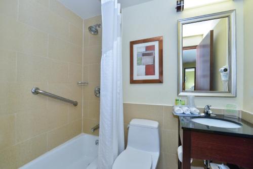 纽约曼哈顿西城智选假日酒店的带浴缸、卫生间和盥洗盆的浴室