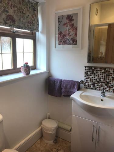 特伦托河上的纽瓦克Grey Oak的一间带水槽和卫生间的浴室以及窗户。