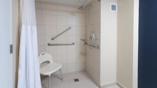 韦拉克鲁斯韦拉克鲁斯博卡德尔里奥智选假日酒店的带淋浴、卫生间和盥洗盆的浴室