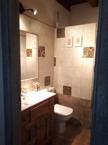 塞哥维亚La Zamarriega的一间带卫生间、水槽和镜子的浴室