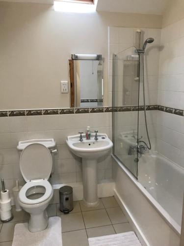 Pen-pergwmThe Old Coach House的浴室配有卫生间、盥洗盆和淋浴。