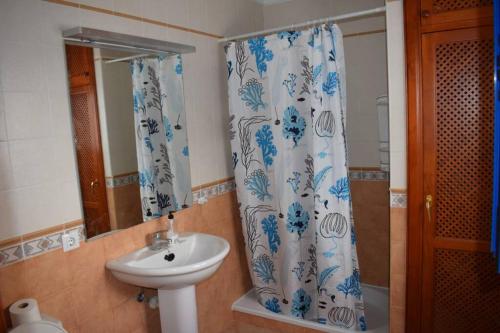 法马拉Lanzarote Famara Beach的一间带水槽和淋浴帘的浴室