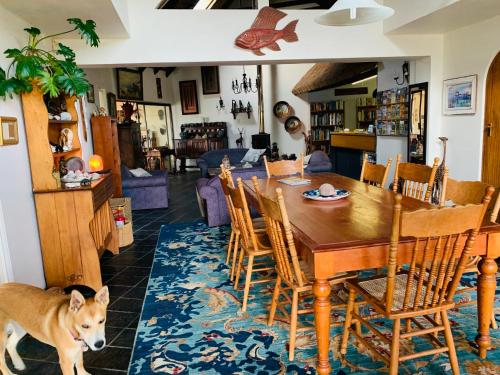 圣弗朗西斯湾Cycads on Sea Guest House的一只狗站在客厅里,客厅里摆放着桌椅