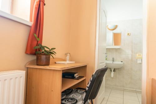沙罗什保陶克骑士酒店加餐厅的一间带书桌和水槽的小浴室