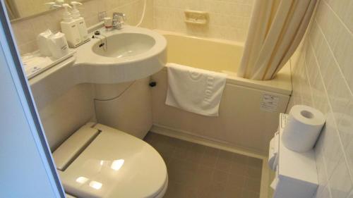 筑波筑波马一酒店的一间带卫生间和水槽的小浴室