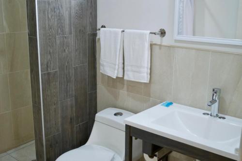 Nuevo Casas GrandesMagnolias Suites Hotel的一间带卫生间和水槽的浴室
