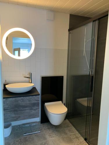 TraversLa Maisonnette的一间带卫生间、水槽和镜子的浴室