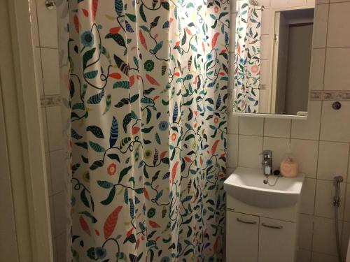 凯乌鲁Pikkukoti Ukki的浴室配有淋浴帘和盥洗盆。
