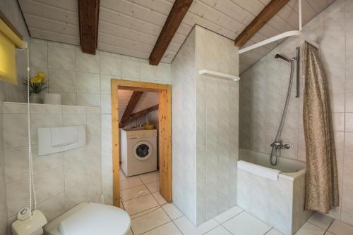 布里恩茨海蒂度假公寓的一间带卫生间、淋浴和洗衣机的浴室