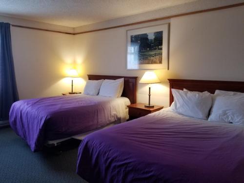 Moosomin穆索明乡绅宾馆的两张位于酒店客房的床铺,配有紫色床单