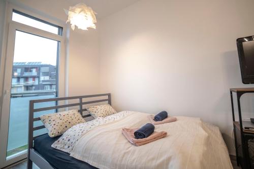 布达佩斯Sasadpark's new apartment in the west part of Buda的一间卧室配有带毛巾的床和窗户。