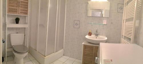 盖雷Appartement Guéret的白色的浴室设有卫生间和水槽。
