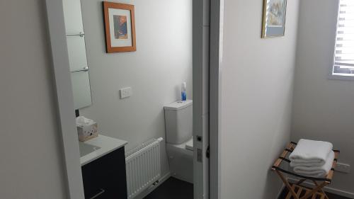 新普利茅斯Purakau Bed & Breakfast的一间带水槽和卫生间的小浴室